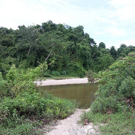 Cabana Wiwa Tayrona Los Naranjos Exteriör bild