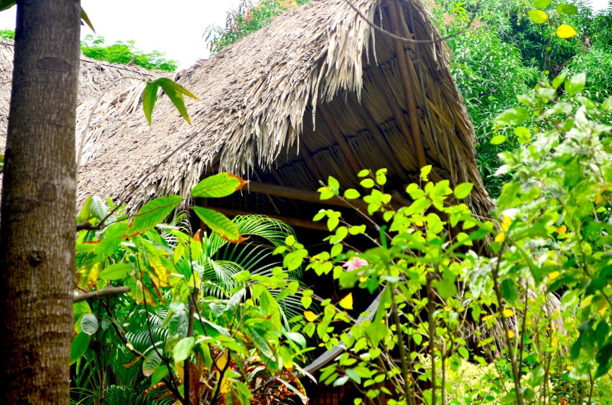 Cabana Wiwa Tayrona Los Naranjos Exteriör bild