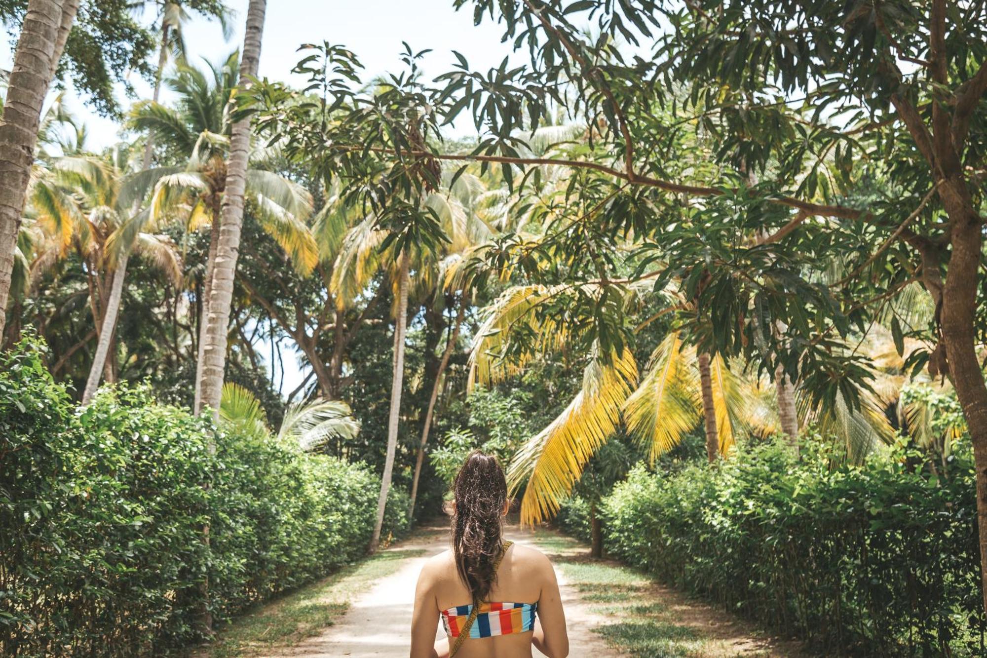 Cabana Wiwa Tayrona Los Naranjos Exteriör bild