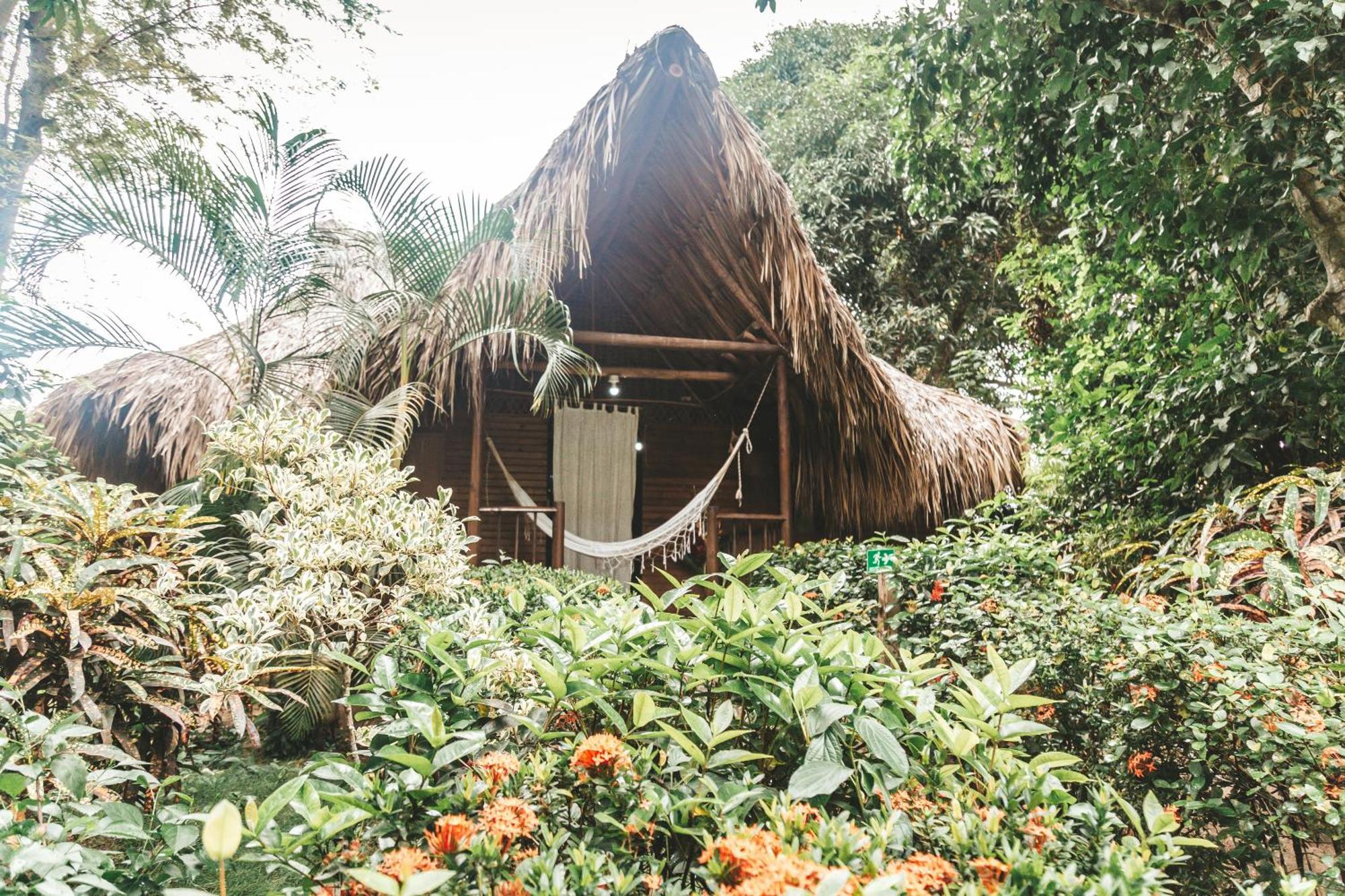 Cabana Wiwa Tayrona Los Naranjos Exteriör bild